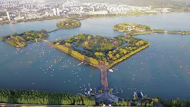 4K航拍南京地标景区玄武湖视频的预览图